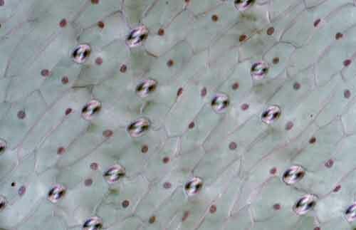 ������������